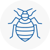 Bed Bug Extermination In Horndean