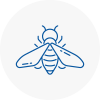 Bee Nest Removal Horndean