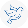 Bird Prevention Horndean
