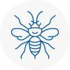 Horndean Hornet Nest Removals