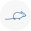Mice Exterminators In Horndean