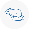 Rat Control Horndean