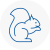 Horndean Rodent Removals